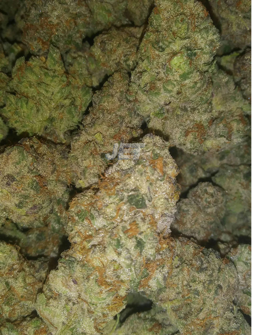 Super Boof | Living Soil