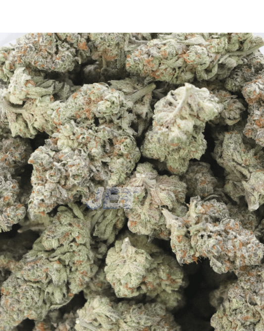 Jealousy | Living Soil