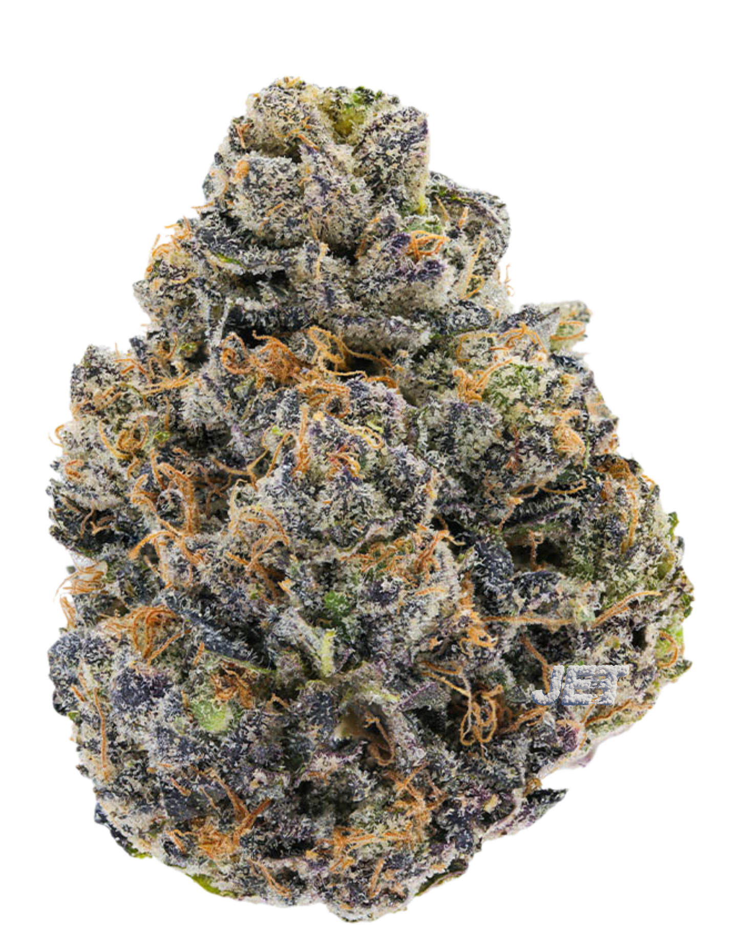 710 Labs - Randy Watson #13 | Flor de Autor
