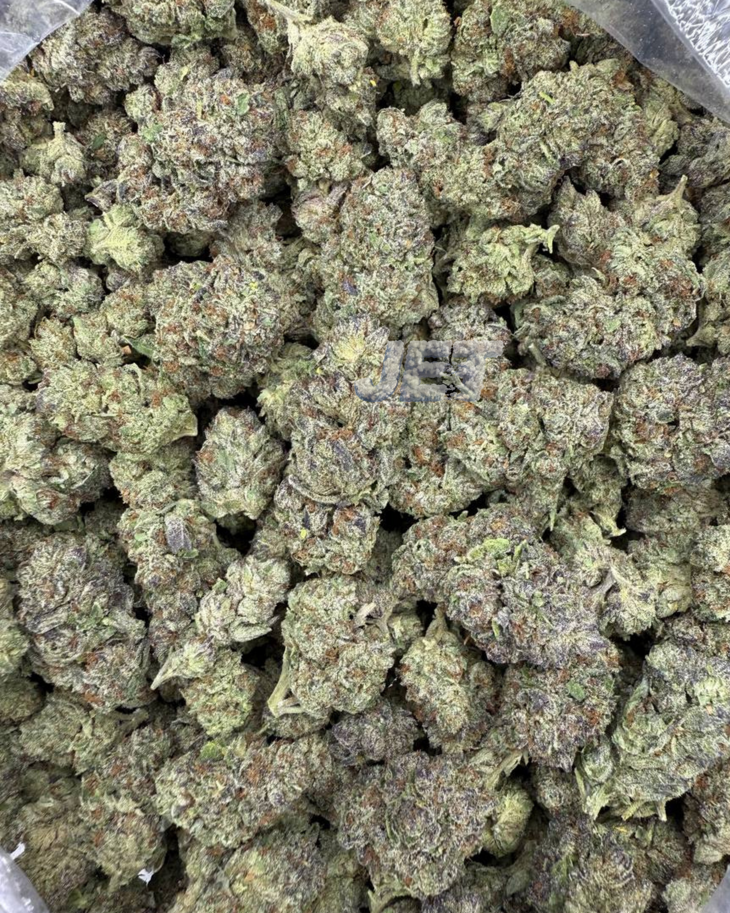 Ghost Train Haze | Living Soil
