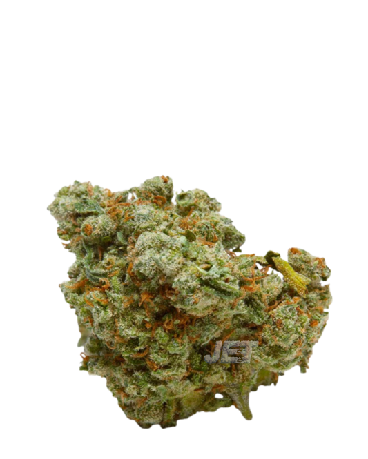 Super Boof | Living Soil