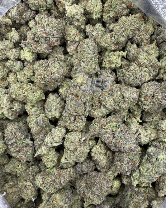 Ghost Train Haze | Living Soil