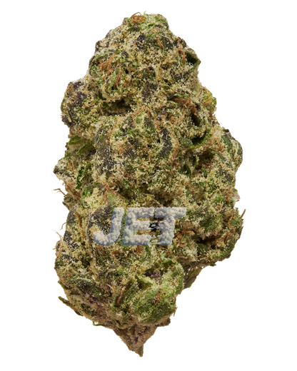 Ghost Train Haze | Living Soil